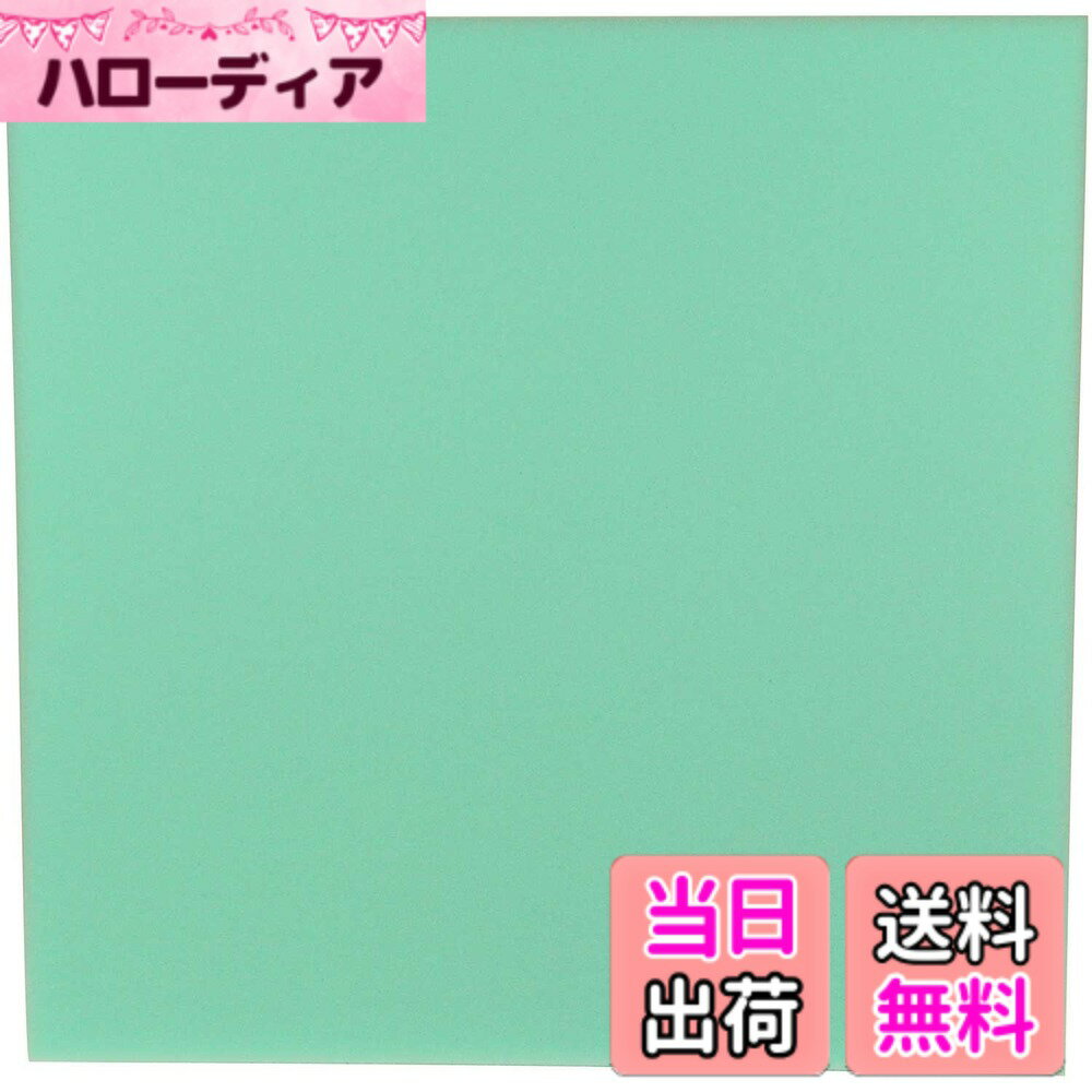 商品情報商品の説明タイル洗いに最適 【用途】 タイル洗い、タイル貼り作業 【特徴】 ・洗車などにも使える 【注意事項】 ※ご使用される前に、目立たない部分でお試し下さい。 ※使用後はよく洗い、乾燥させてから保管して下さい。主な仕様 用途:タイル洗い、タイル貼り作業特徴:洗車などにも使えるサイズ:約500x500x70mmbrカラー:グリーン入数:1個