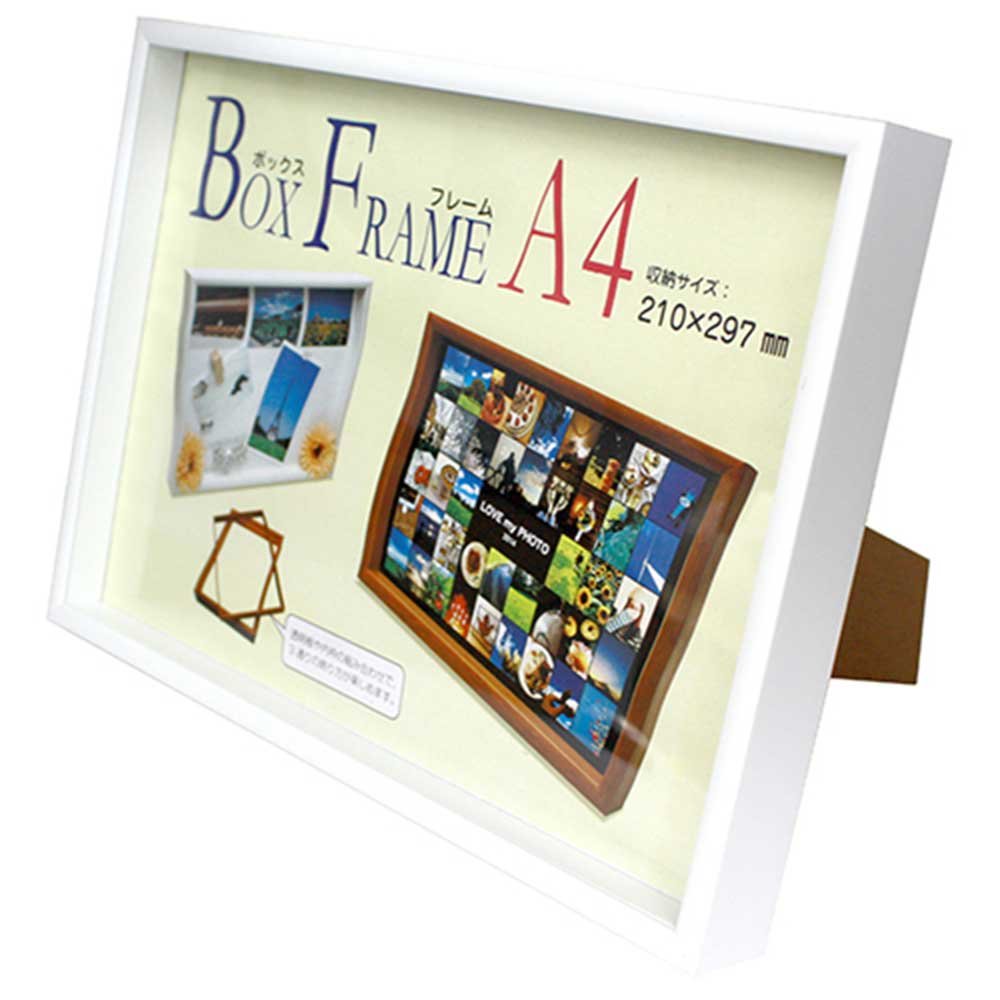 ������̵�������� VANJOH �ܥå����ե졼�� A4 �ۥ磻�� 105239