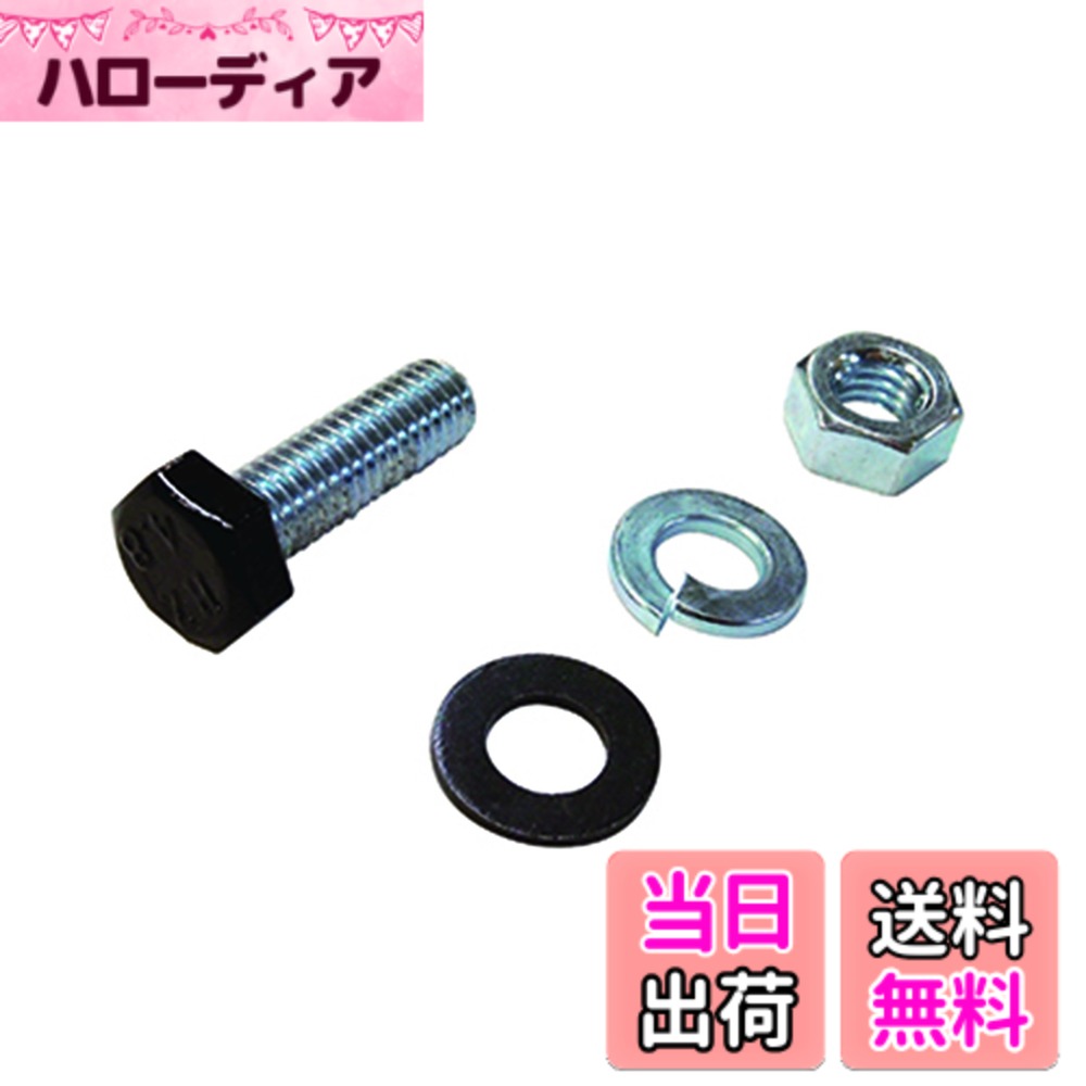 【送料無料】ダイドーハント(DAIDOHANT) ( 補強金物 ) DH ピッタリサポート用 6角ボルト [ 鉄 / ユニクロ / 頭黒 ] (呼び径) 6mm x (長さ) 20mm ( 2セット入 ) 65908