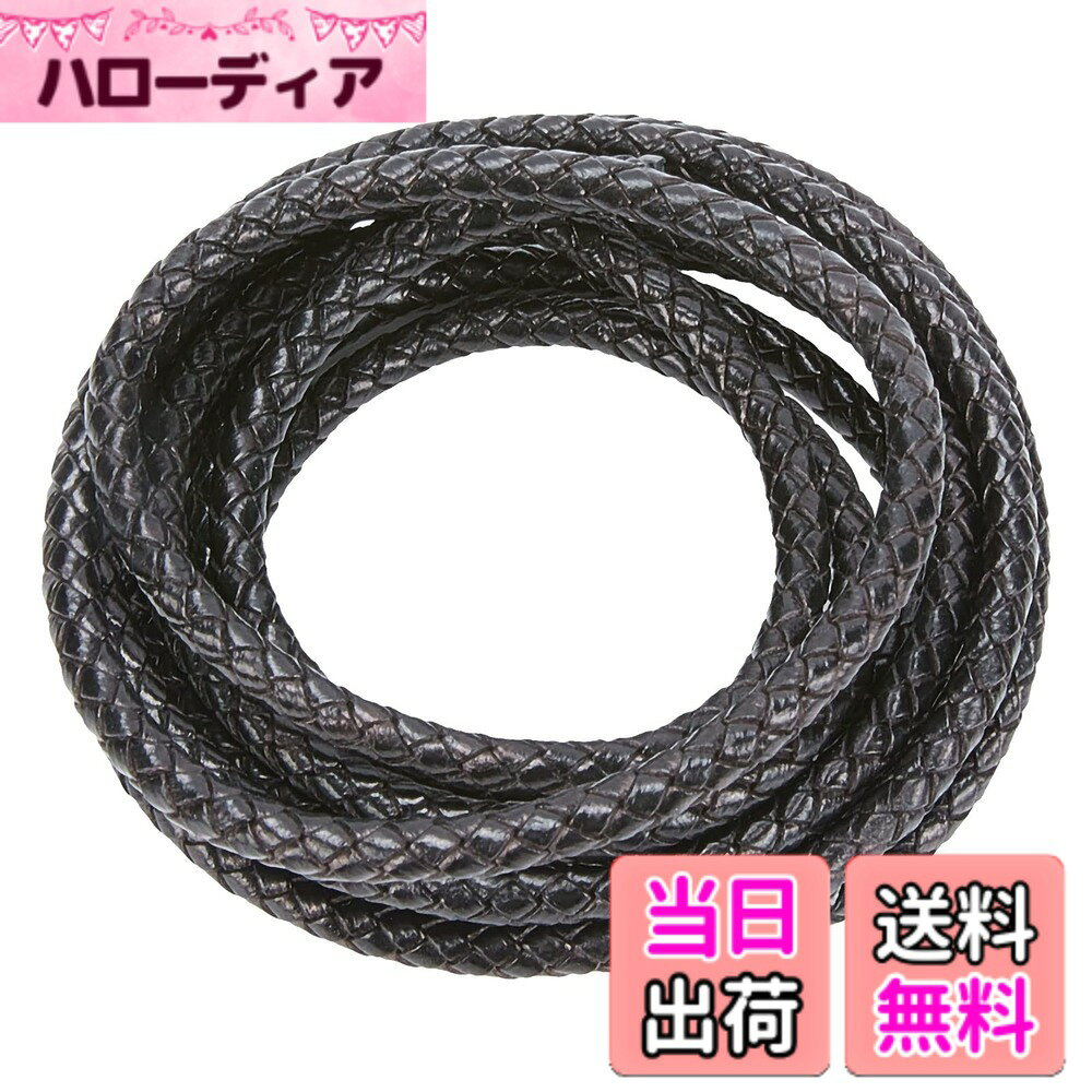 PandaHall Elite 2m/巻き レザー ひも 幅6mm レザーコード 皮紐 革紐 編みタイプ 丸紐 チョーカー 革紐チョーカー ブレスレット・ネックレスなど アクセサリー革紐 ジュエリー 制作 手作り素材 ブラック