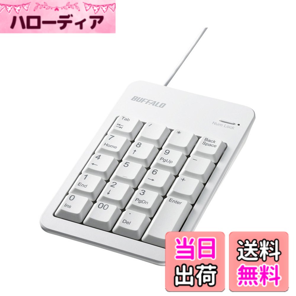 【送料無料】バッファロー BUFFALO 有線テンキーボードTabキーUSBハブ付き ホワイト BSTKH100WH