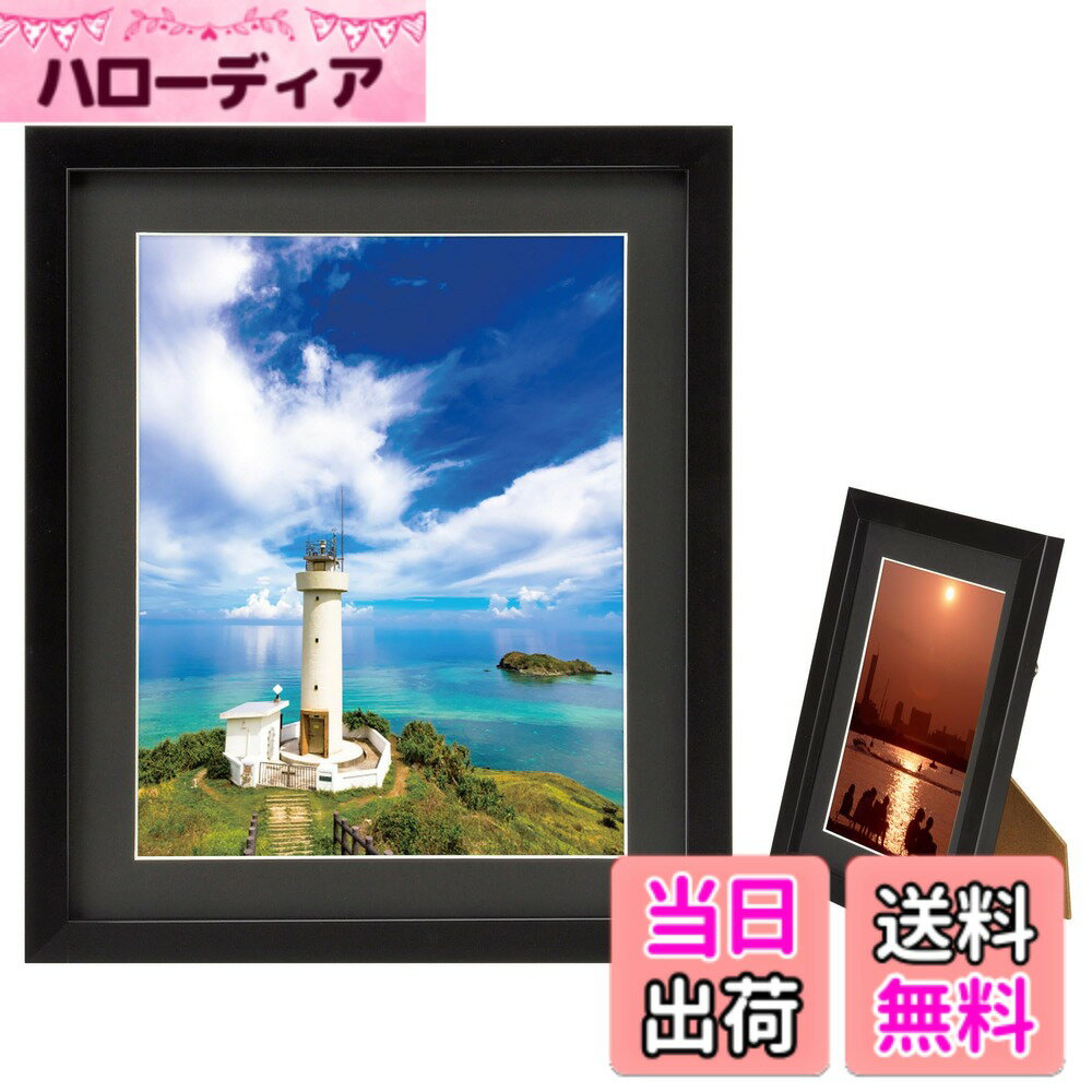 ������̵���ۥϥ��� HAKUBA �۱� MM-01 6�� ���� ��������� �֥�å� FWMM01-BK6