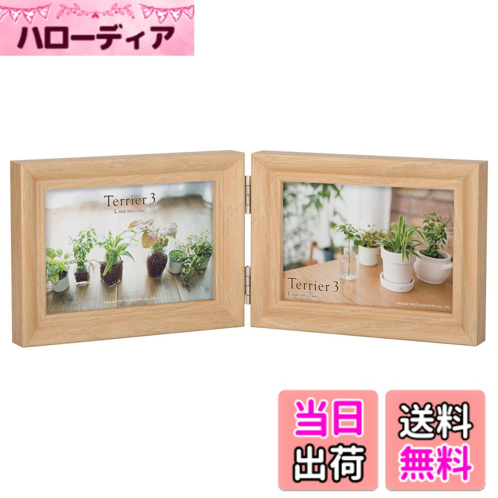 ������̵���ۥϥ��� HAKUBA ���� �ե��ȥե졼�� �ƥꥢ3 L������ 2�� �襳 �ʥ����� FWTR3-NTL2Y