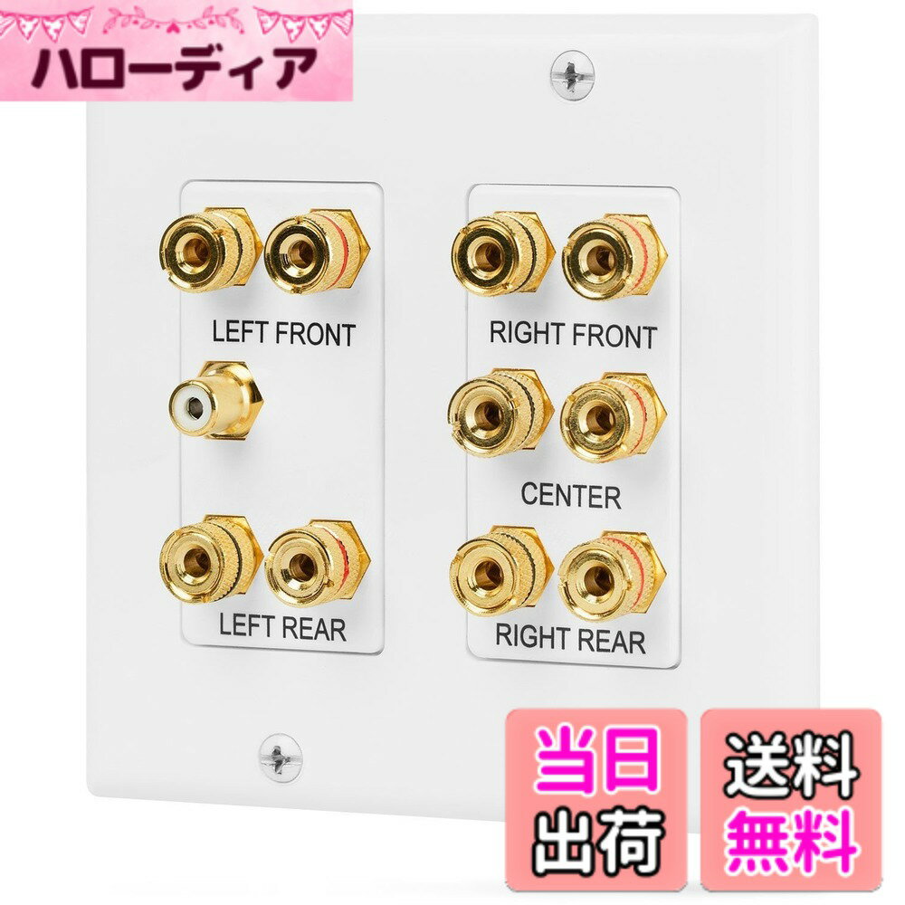 【送料無料】Fosmon ホームシアタースピーカー壁プレートコンセント...(2.0)