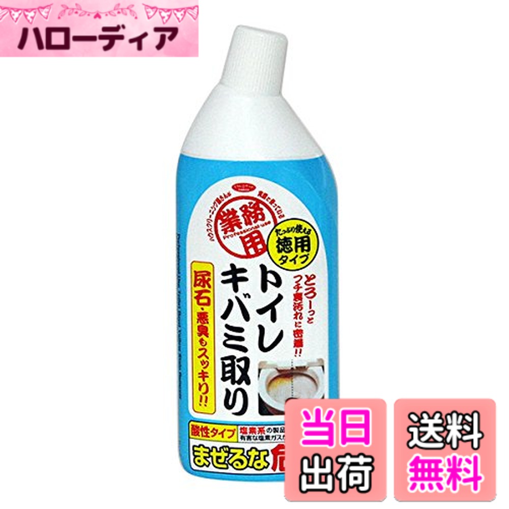 Rakuten - 【送料無料】アイメディア(Aimedia) トイレキバミ取り 徳用 500ML