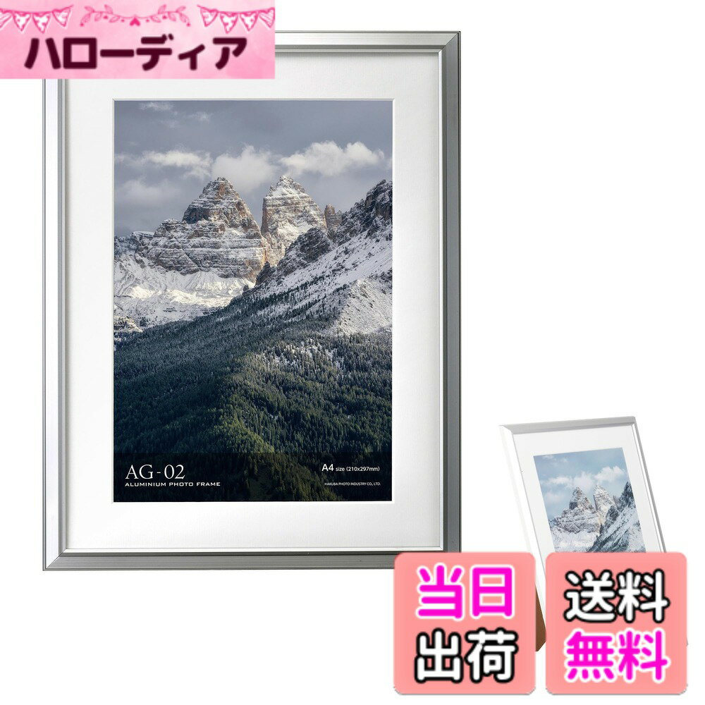 【送料無料】ハクバ HAKUBA 額縁 アルミ AG-02 A4 スタンド付 シルバー FAG2-SVA4