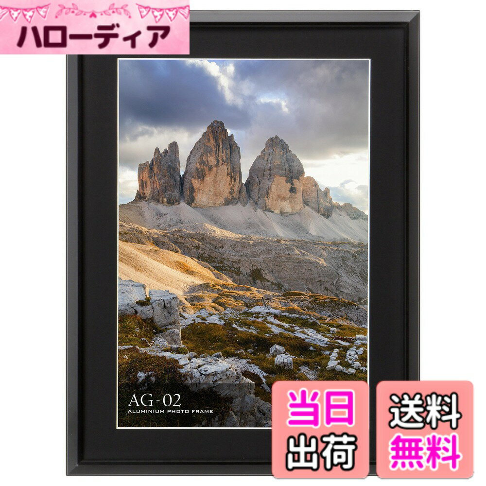 Rakuten - 【送料無料】ハクバ HAKUBA 額縁 アルミ AG-02 ワイド4切 ブラック FAG2-BKW4