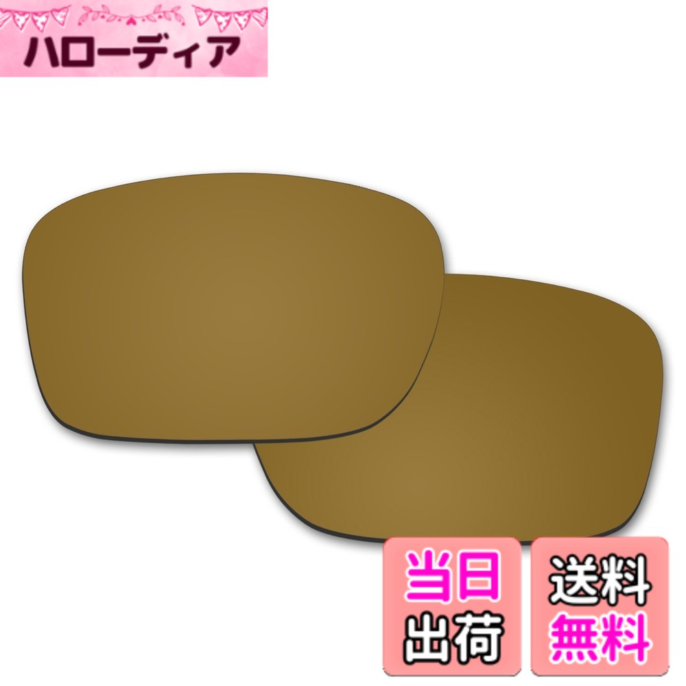 【送料無料】Oakley Holbrook用交換レンズ アップグレード...(4.0)