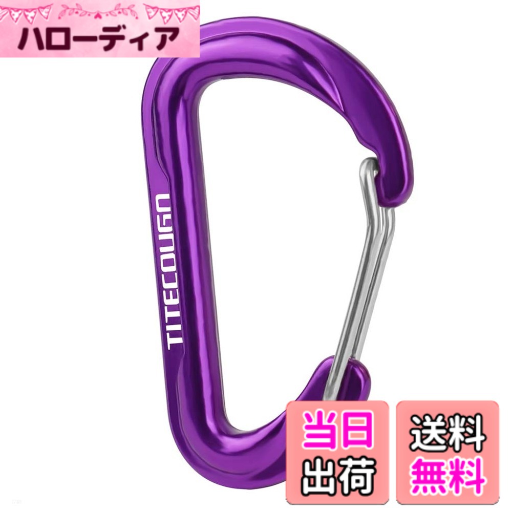 【送料無料】TITECOUGO カラビナ 小 多機能 リュック 小物入れ おしゃれ アルミ Dリング Dフック スナップ アウトドア キーホルダー 釣り 登山 ハイキング キャンプ 旅行 軽量 オフィス ストラップ キャンプ用品 ポーチ dカン 耐久性 鍵掛け 生活雑貨 パープル