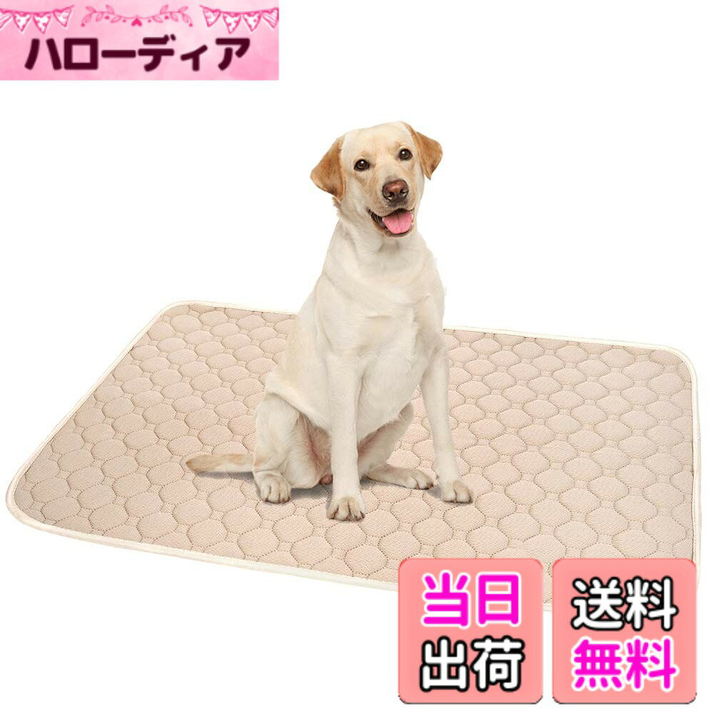 商品情報商品の説明主な仕様