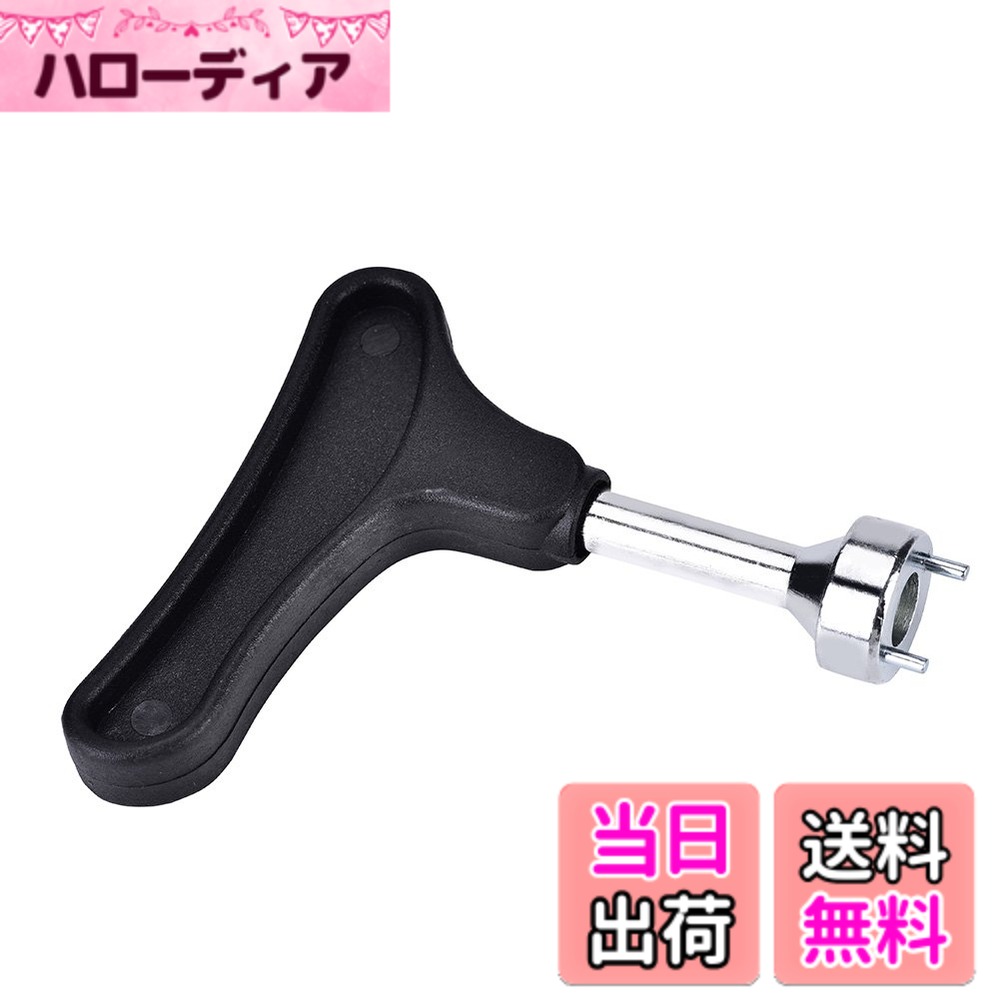 【送料無料】VGEBY1 ゴ�