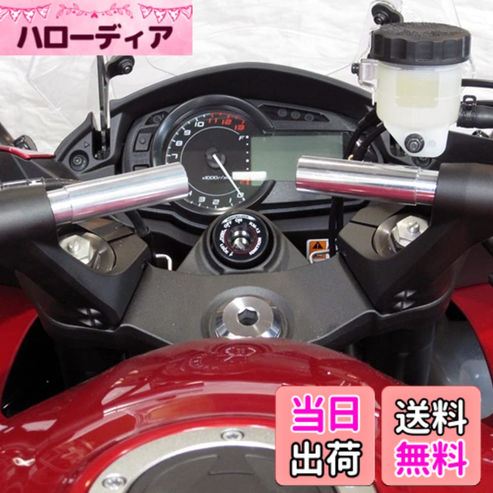 ������̵����LEDISHUN �ʥӥޥ��ȥ��ơ� ���掠�� �˥󥸥� 650 1000 Z1000SX GTR1400 H2SX ��Ŭ�� (��)