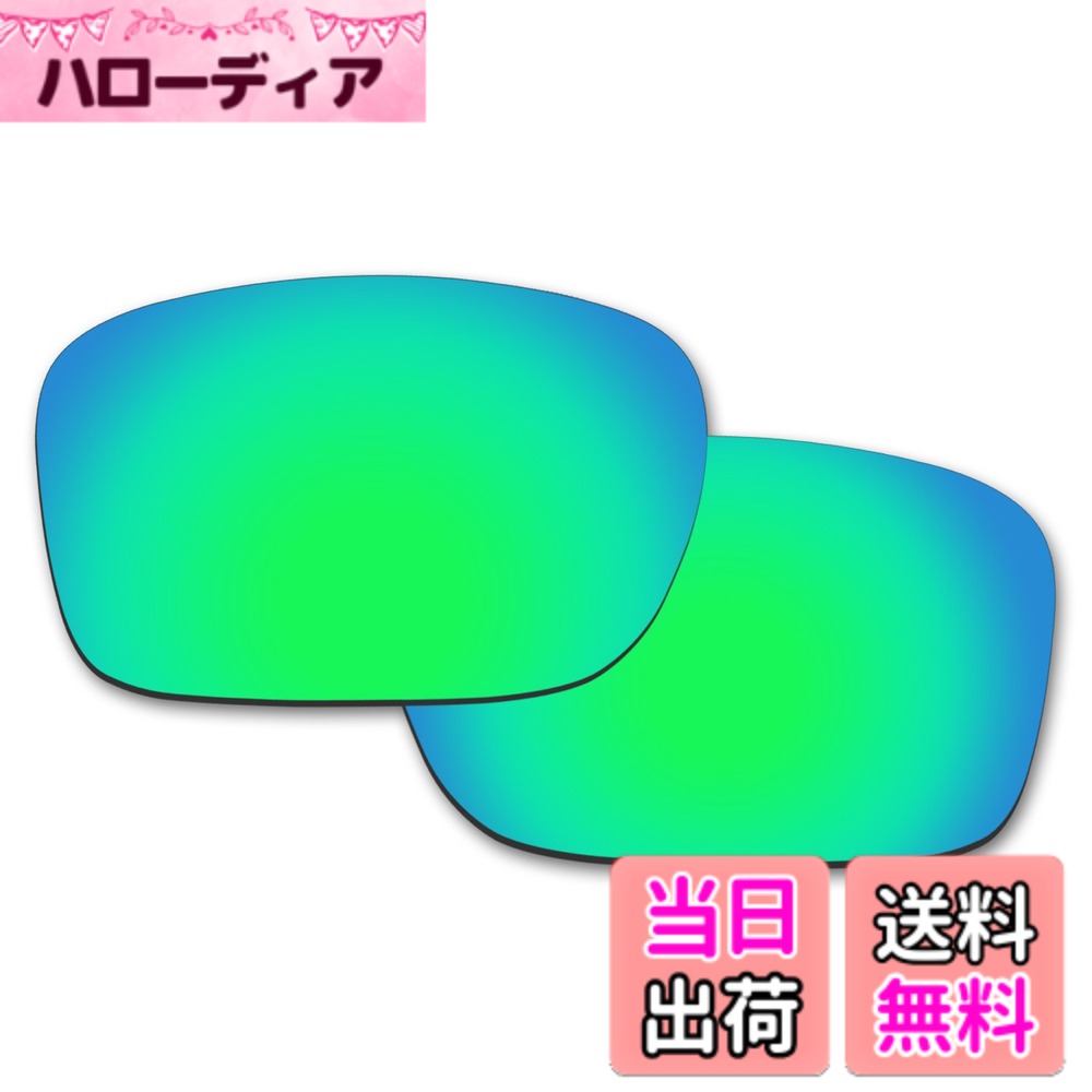 【送料無料】Oakley Holbrook用交換レンズ アップグレード...(4.0)