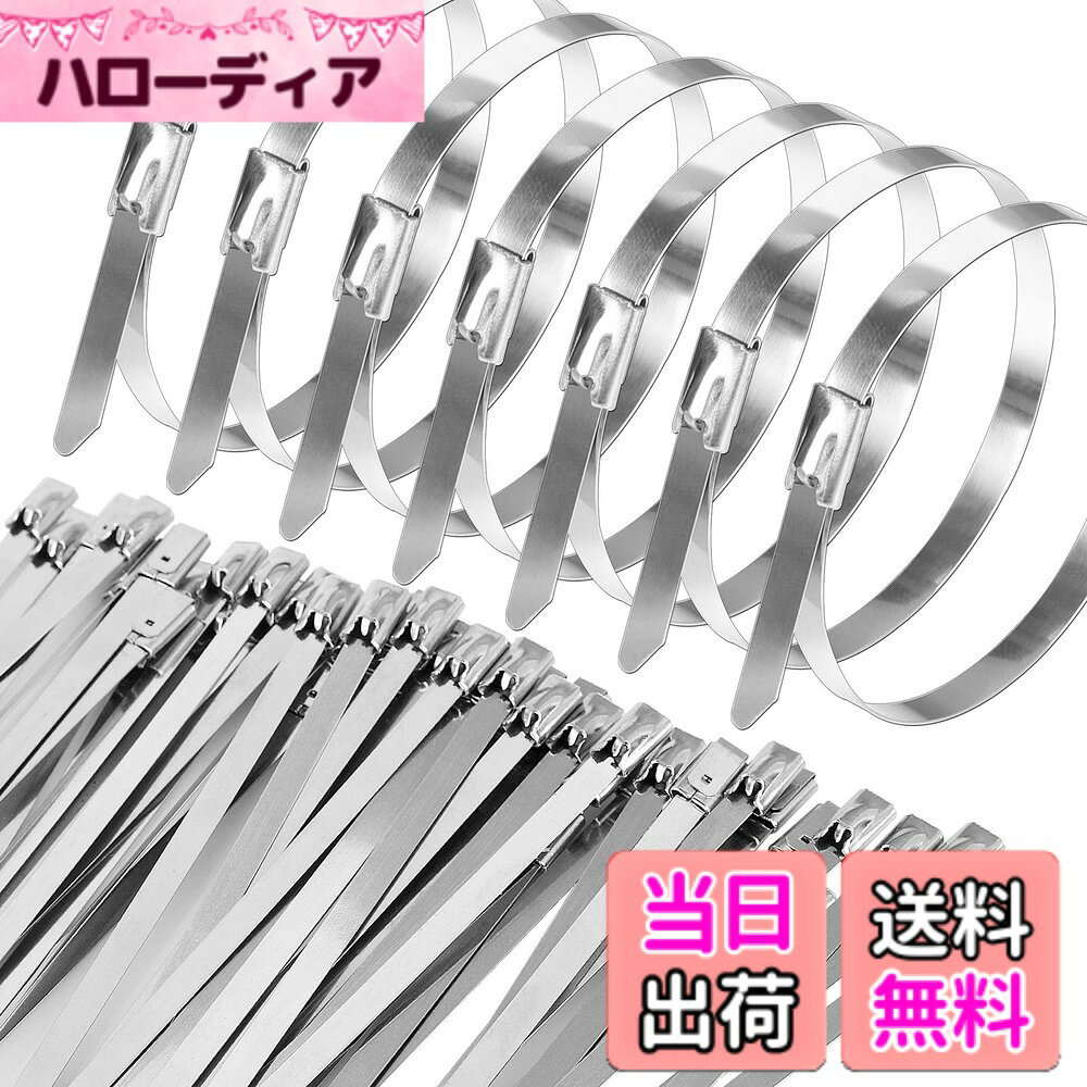 Leobro 結束バンド ステンレス製 4.5mmx200mm 60本入り ステンレスバンド ケーブルタイ 金属製 屋外用 耐食 耐熱 耐候