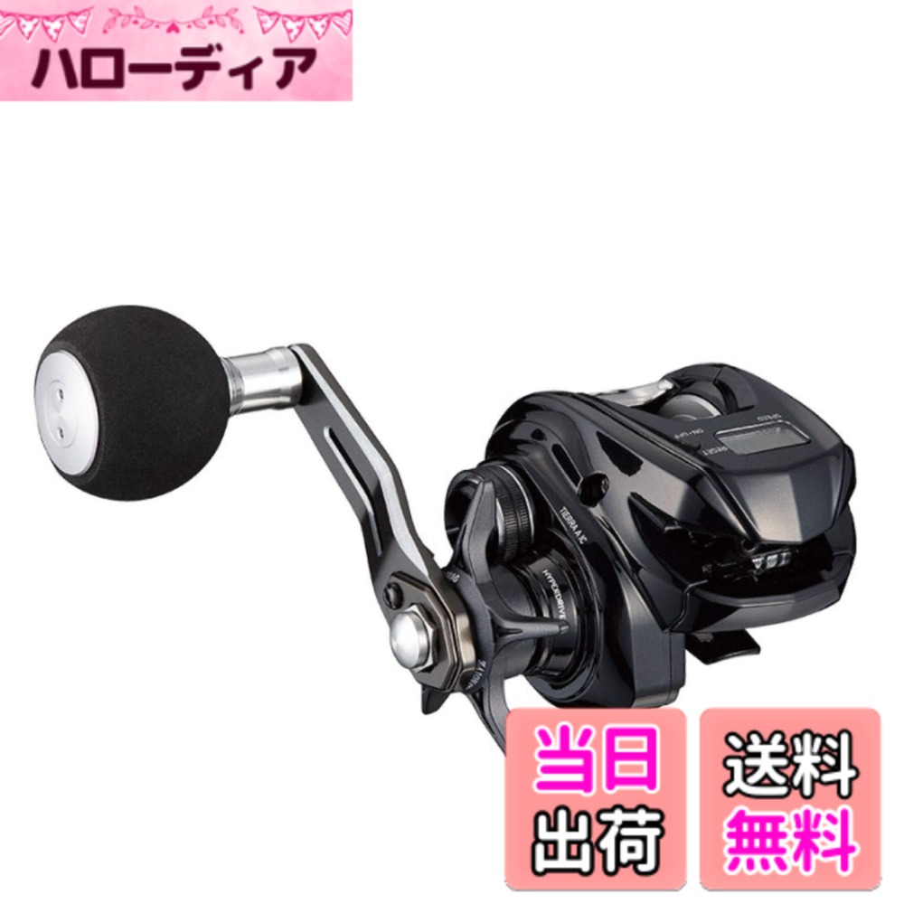 【送料無料】ダイワ(DAIWA) 21 ティエ�