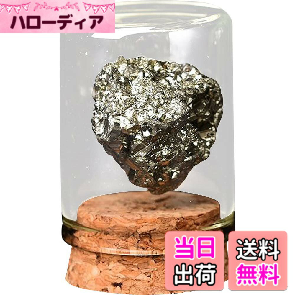 【送料無料】HIGHAWK 岩石標本 天然石 ガラスカバー 鉱石 防塵 置物 オーナメント 展示 標本ボックス テーブル コレクション 地質科学 装飾品 小物（パイライトS）