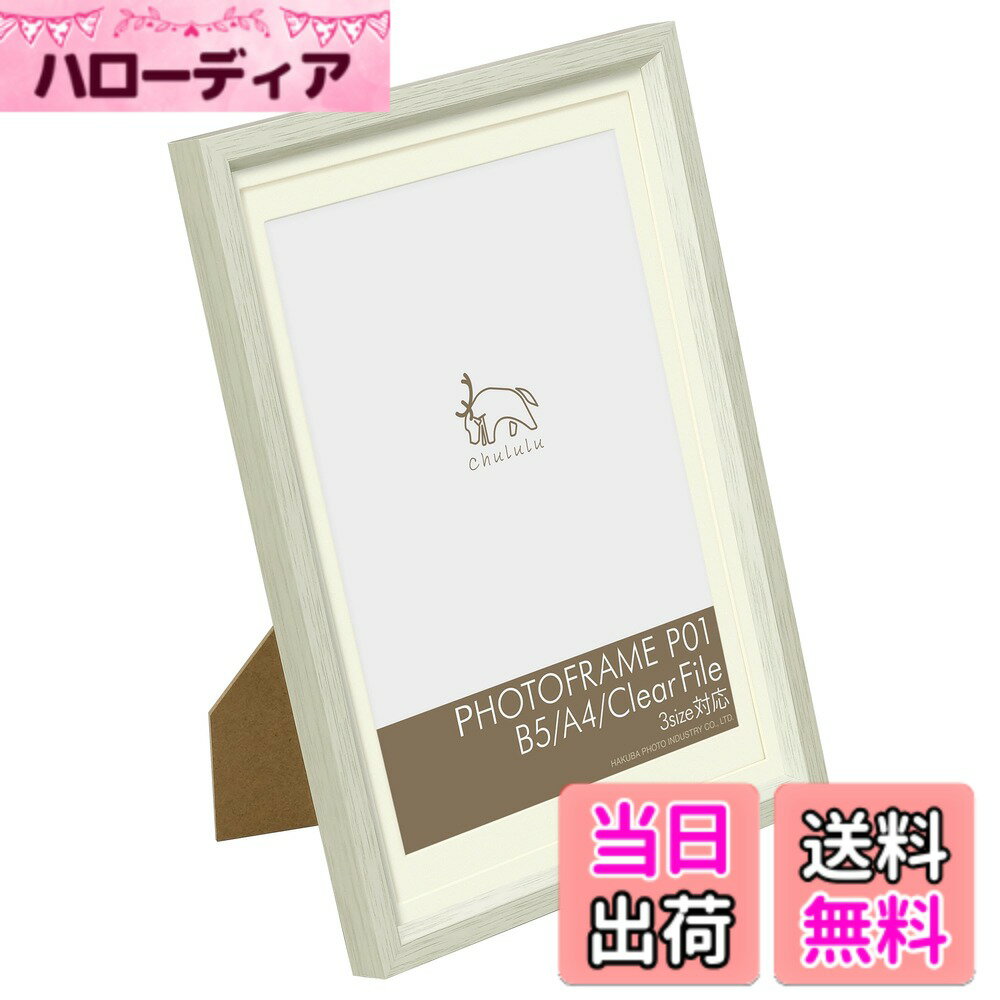 【送料無料】ハクバ 額縁 Chululu(チュルル)フォトフレーム P01 B5/A4/クリアファイルサイズ兼用 ホワイト FCHL-P01LWT