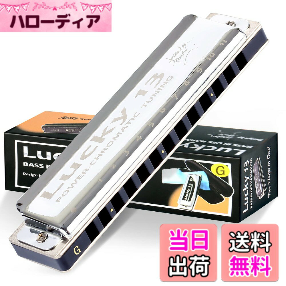 【送料無料】East top ハーモニカ ブルースハーモニカ 13ホール G ジャズ専門家 大人用 子供用 勉強 練習用 真鍮カバー キャンバスケース Lucky13 (PowerChromatic-G)