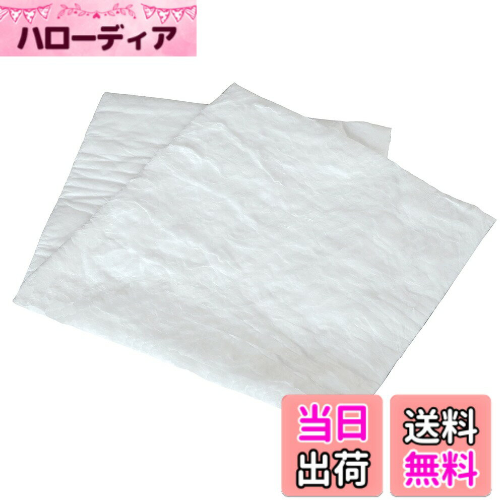 【送料無料】エーモン(amon) 音楽計画 吸音材 フロア用(13mm厚) 約500x1000mm (カーオーディオ デッドニング用) 4809 販売ルート限定品