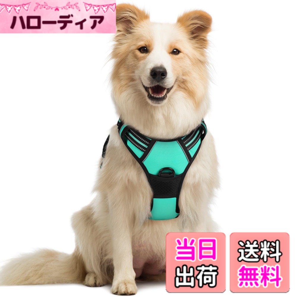 【送料無料】Rabbitgoo 犬 ハーネス 中型犬 ソフト かわいい 犬用胴輪 引っ張り防止 負担が少ない首輪 サイズ調整可 夜間反射 抜けない 通気性 咳き込み防止 散歩 歩行補助 老犬介護 しつけ 運動向き 犬 小型犬 大型犬 柴犬 秋田犬（ミントグリーン M)