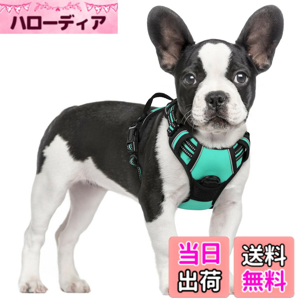 【送料無料】Rabbitgoo 犬 ハーネス 小型犬 ソフト かわいい 犬用胴輪 引っ張り防止 負担が少ない首輪 サイズ調整可 夜間反射 抜けない 通気性 咳き込み防止 散歩 歩行補助 老犬介護 しつけ 運動向き 犬 中型犬 大型犬 柴犬 秋田犬 （ミントグリーン S)