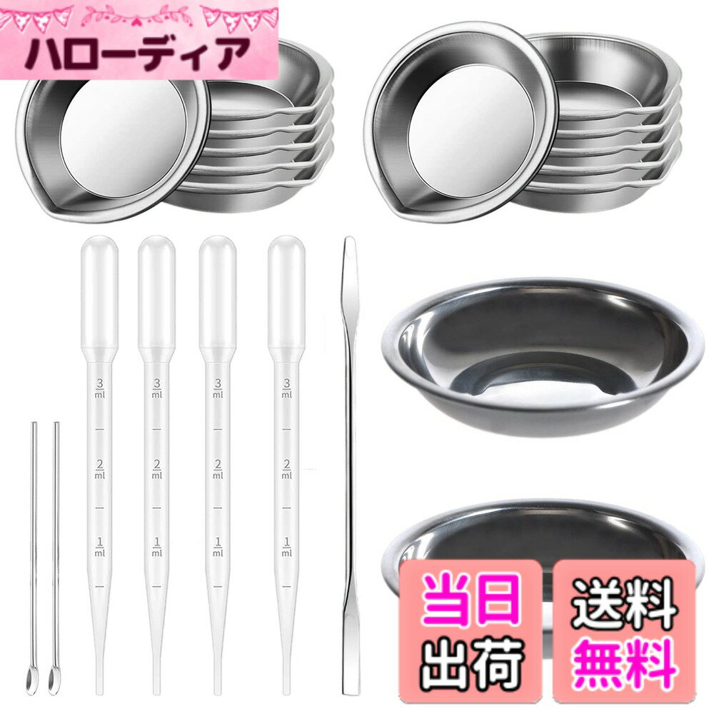 【送料無料】HUAZONTOM プラモデル 塗装セット 21点セット ステンレス 塗料皿 調色スティック かくはん棒 スポイド 絵皿 プラモデル塗料用 ホビー用塗装用具 ガンプラ 塗装セット プラモ初心者セット
