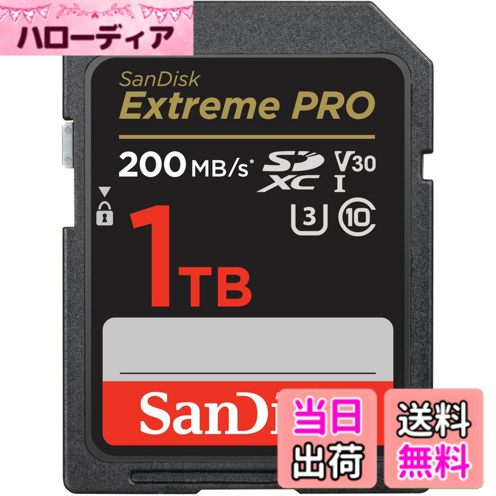 【送料無料】SanDisk (サンディスク) 1TB Extreme ...(2.0)