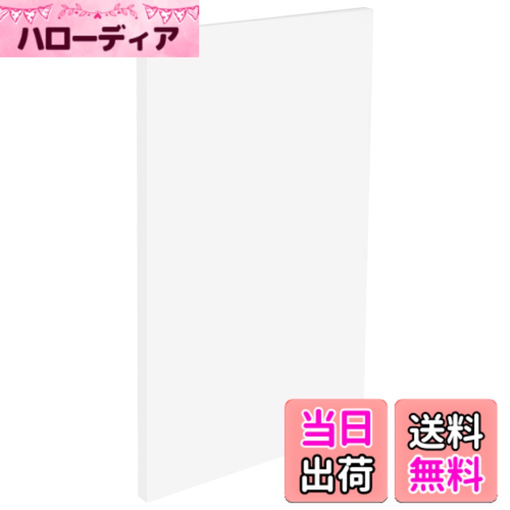 【送料無料】BENECREAT 1枚300x200mm プラスチック板 PP板 厚さ10mm 白 工作素材 ...