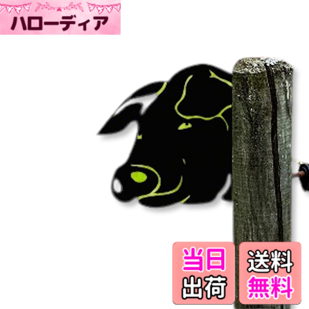 楽天市場】豚 アイアンの通販