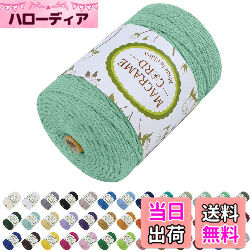 Ladies - 【送料無料】LEREATI マクラメロープ 3mm x 300m, マクラメ 糸 コットン マクラメ 紐 天然綿糸, 綿ロープ の場合 DIY, 壁掛け、夢キャッチャー、鉢植え装飾, 編み物, ボヘミア結婚式アーチの装飾 (ミントグリーン)