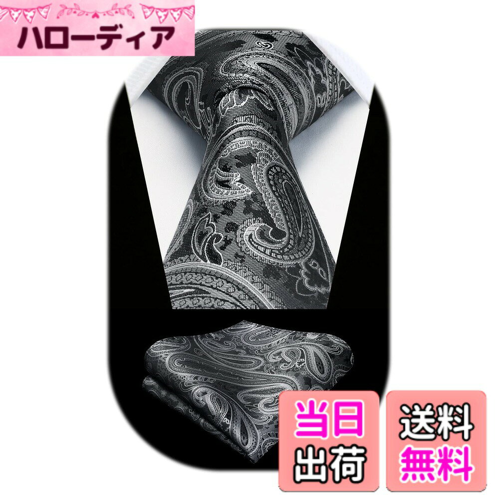 【送料無料】[HISDERN] ネクタイ メンズ ペイズリー柄 ネクタイ チーフ セット グレー ビジネス用 シルク ブランド 就活 二次会 HP-03