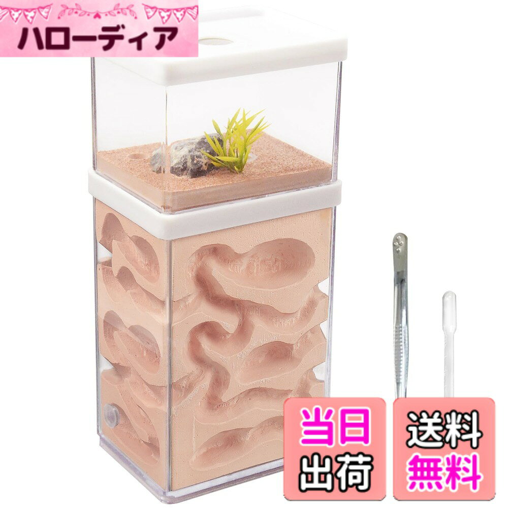 商品情報商品の説明主な仕様 【石膏蟻の巣を選ぶ理由】石膏蟻の巣は最も古いタイプの蟻の巣であり、その開発は比較的成熟している。 石膏蟻の巣は吸水性と保水性に優れ、十分な培地と空気湿度を供給でき、蟻にとって快適な土壌環境に近い。また、石膏の表面は粗いため、土の培地を必要とし、壁を登る能力が低いアリに適している。【アリの観察に便利なPC透明シェル】アリの巣は透明なデザインで、アリの観察や餌やりがはっきりできます。 アリがトンネルを作ったり、家を建てたりする日常生活を観察することができ、また、餌を集めるアリや掘るアリなど、様々な種類のアリを見ることができます。【科学教育機能】このアリ飼育箱は子供にとって最高の知育玩具です。 子供たちの科学への興味を育み、アリを理解させ、生物学的知識を学ばせ、知育に役立ちます。 また、昆虫愛好家のための理想的な贈り物です。【二層式多機能設計】アリの巣は給水口、流出口、延長口がある着脱式二層式設計を採用し、給水や掃除に便利で、延長口を通して他のアリの巣と連結し、飼育範囲を広げることもできます。【注意】1、本製品は蟻の巣を含むだけで、蟻などの付属品は含まない。2、給餌の経験が必要で、初心者の給餌は簡単に蟻の死につながるかもしれない。3、製品のカビと露の問題について、この状況を完全に避けることができない、石膏の巣の水分の蒸発が難しい、環境の湿度が高すぎる場合、製品のカビと露の状況につながる可能性があります、この問題の解決策も非常に簡単です、それをきれいにし、天日で乾燥させるだけで再利用することができます。