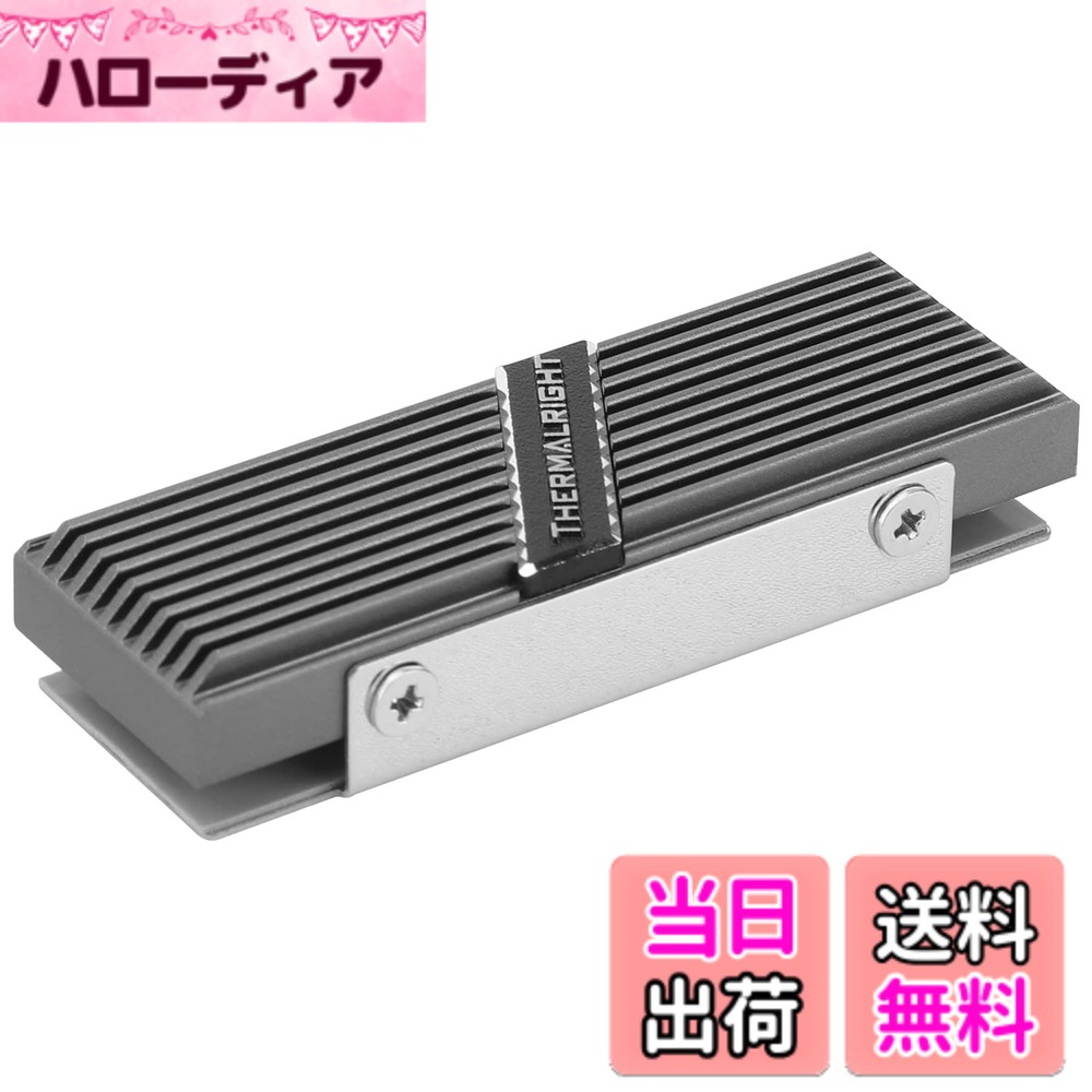 【送料無料】Thermalright TR-M.2 2280 TYPE A G 2280 ヒートシン ...