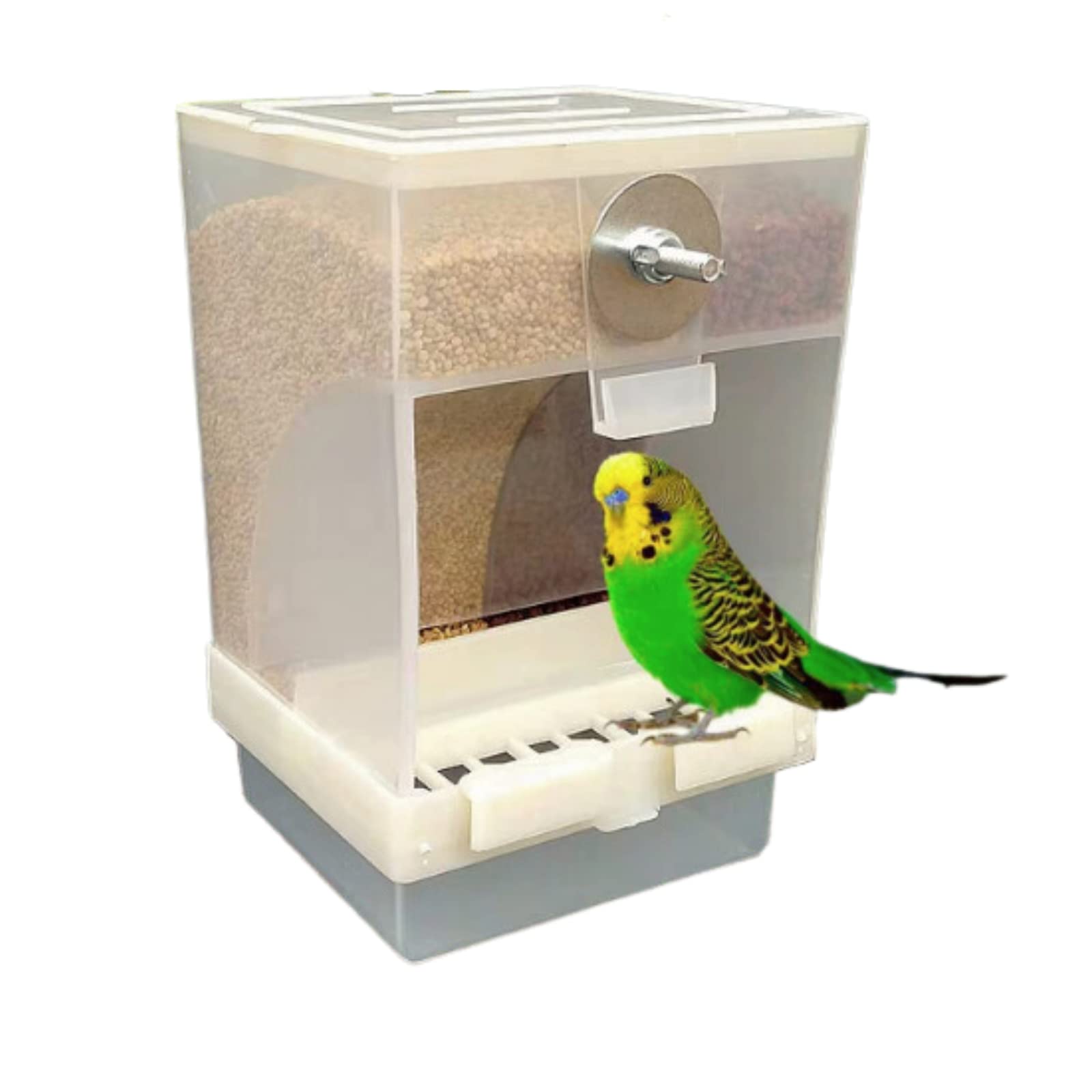 【送料無料】DIZLAS インコ 鳥 自動給餌器 餌入れ フードフィーダー 外付け