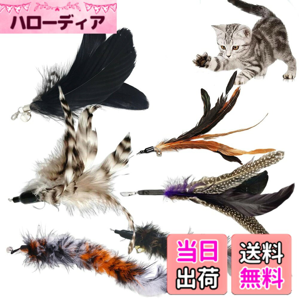 【送料無料】YINKE 猫 おもちゃ 6点セット 羽のおもちゃ 猫じゃらし 羽根 ねこ玩具 交換 し易い 運動不足とストレス解消（ブラック）