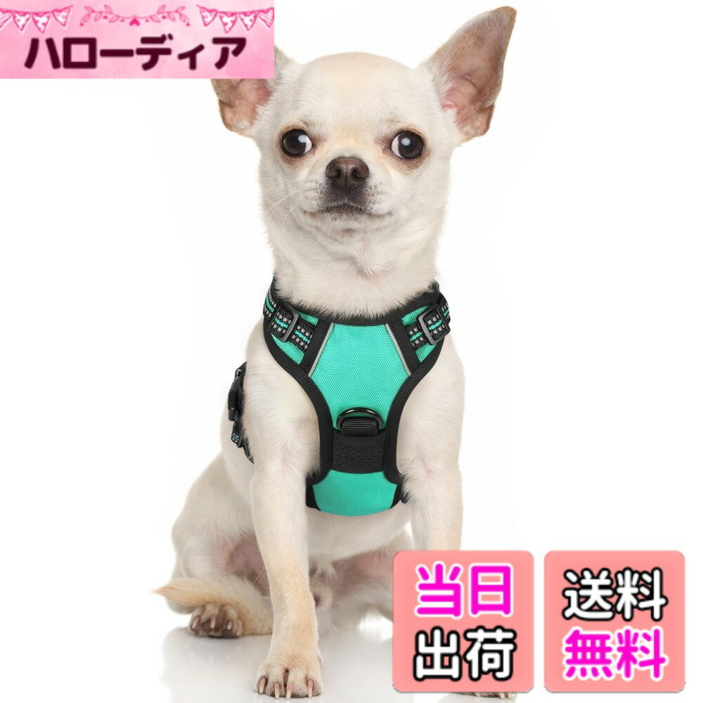 【送料無料】Rabbitgoo 犬 ハーネス 小型犬 ソフト かわいい 犬用胴輪 引っ張り防止 負担が少ない首輪 サイズ調整可 夜間反射 抜けない 通気性 咳き込み防止 散歩 歩行補助 老犬介護 しつけ 運動向き 犬 中型犬 大型犬 柴犬 秋田犬(ミントグリーン XS)