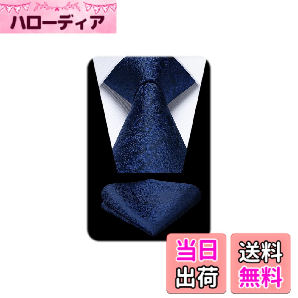 【送料無料】[HISDERN] ペイズリーネクタイ チーフ セット メンズ フォーマル ネクタイ ネイビー ビジネス ブランド プレゼント HP-03