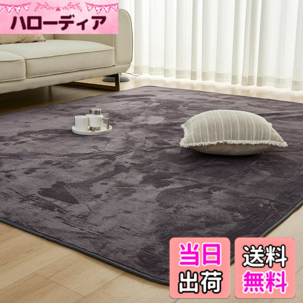 Accord - 【送料無料】Mensu カーペット ラグ ラグマット 洗える 200x250cm 約3畳 絨毯 フランネルラグ 【至極の肌触り】 24時間持続制菌消臭 毛足4mm 滑り止め付 北欧 おしゃれ 【SOFT HOT】 制菌防臭 オールシーズン 床暖房 ダークグレー