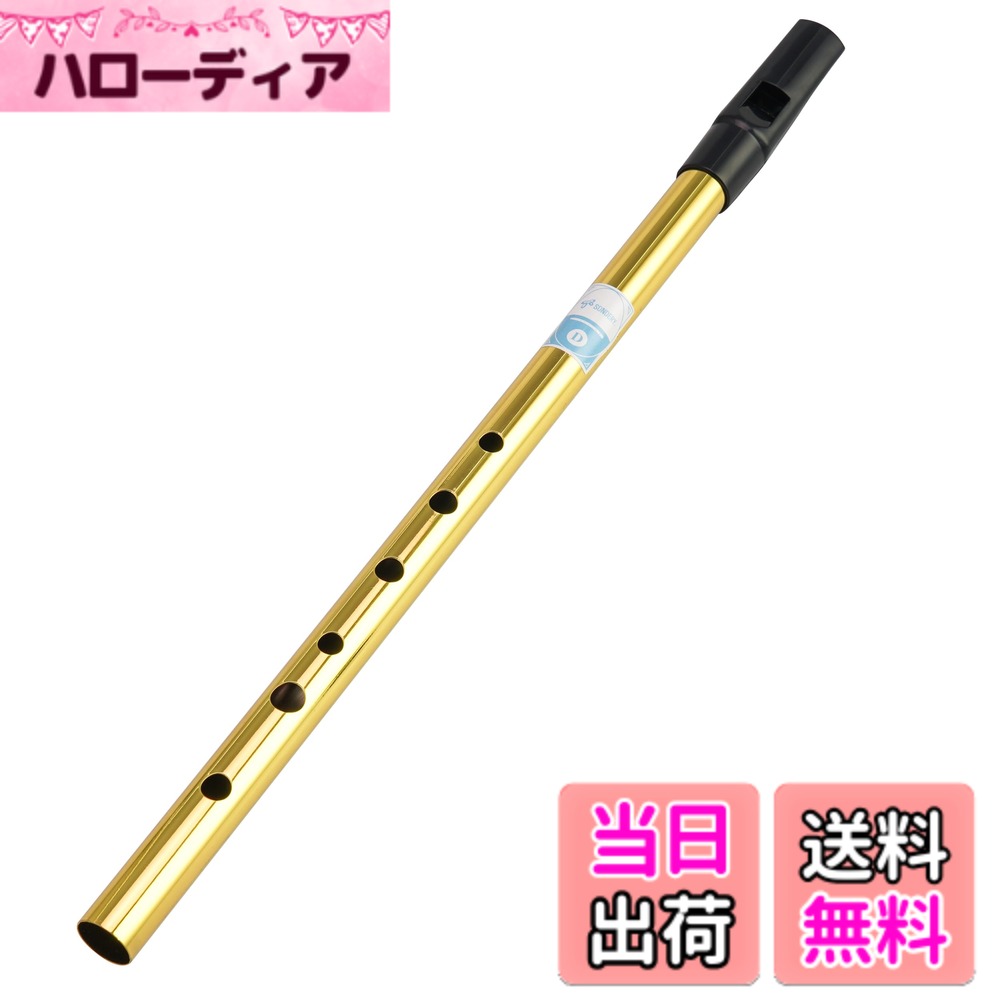 【送料無料】Sondery ティンホイッスル ブラス D管 きんいろ