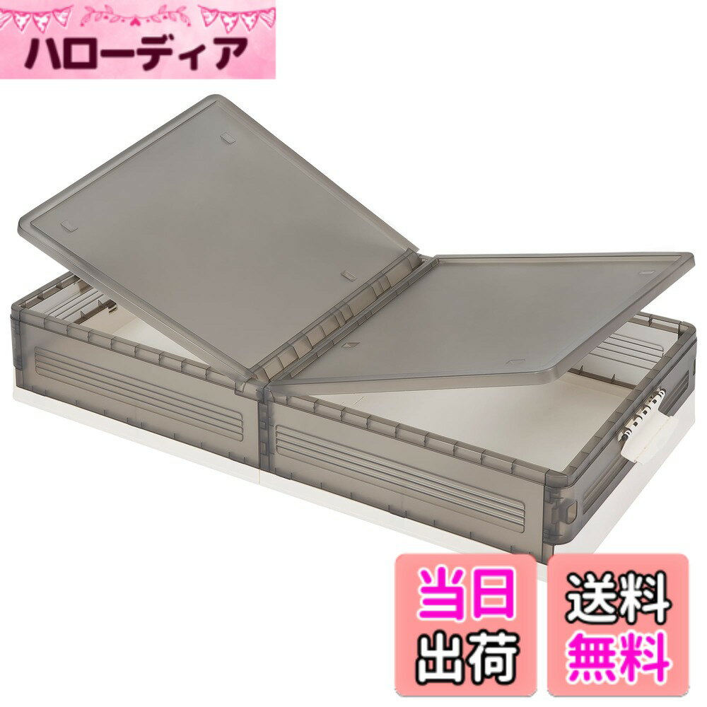 【送料無料】VECELO 収納ボックス 収納ケース ベット下収納ボックス キャスター付き 幅100x奥行き50x高さ18CM 積み重ね 衣装ケース 大容量 防塵 防湿 無臭 厚み 書類/衣類/布団/おもちゃ/小物/食品収納 家庭用 業務用 オフィス用 組立簡単 耐久性 おしゃれ グレー