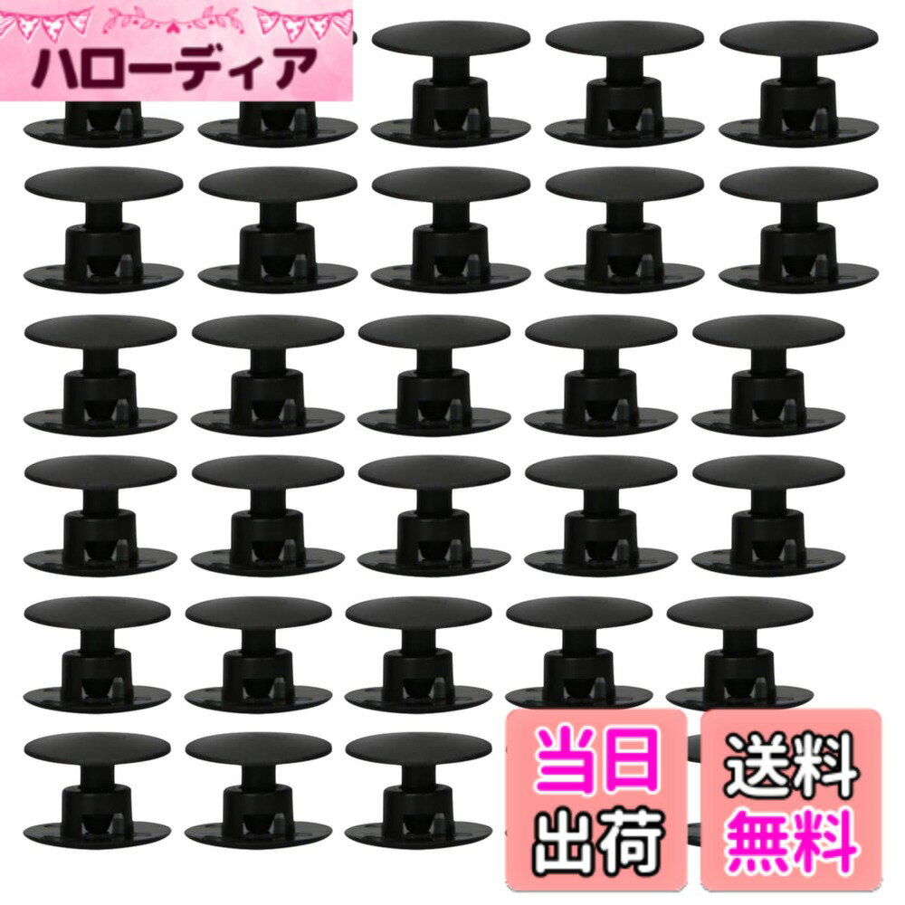 【送料無料】DELUXEFOX �