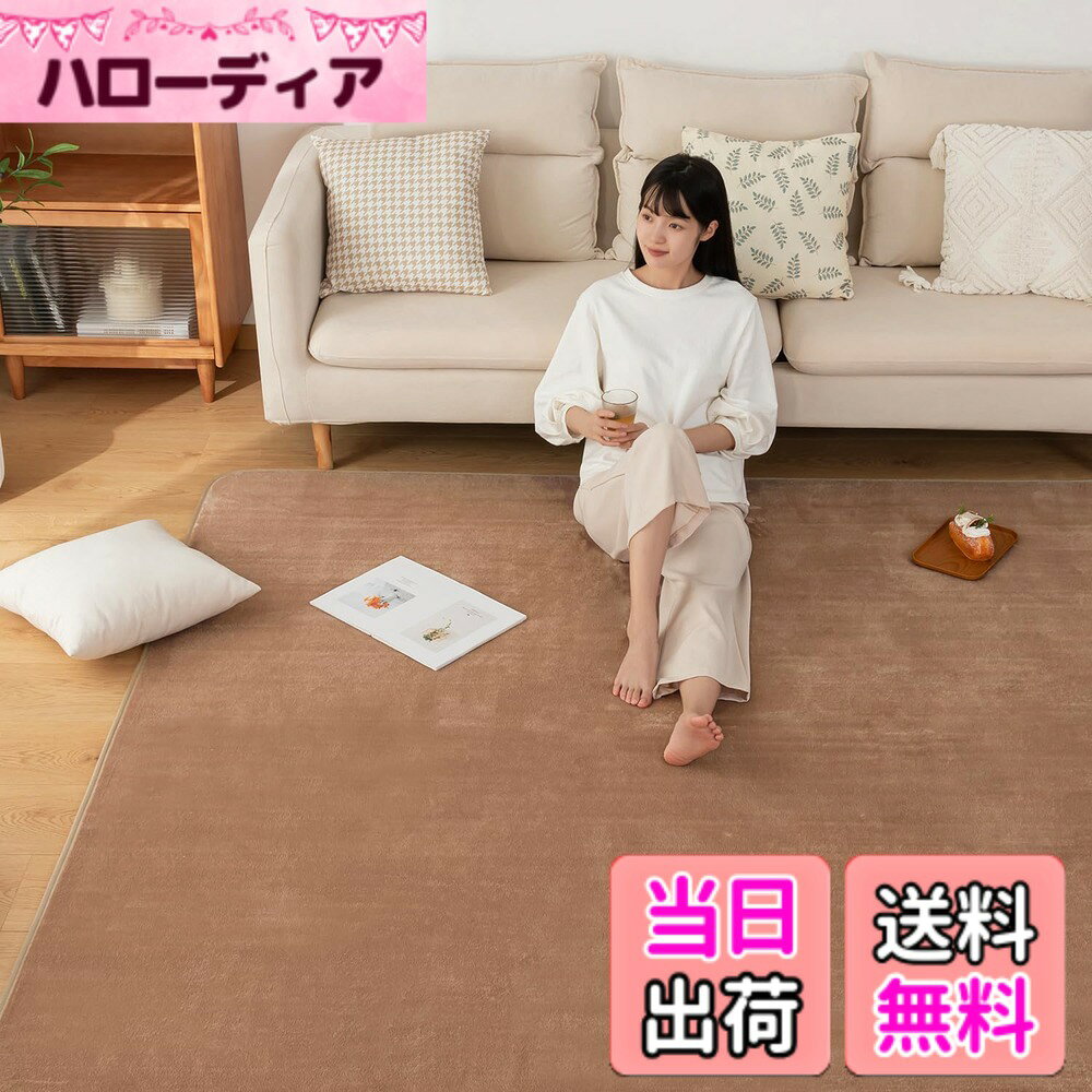 【送料無料】Sun Deco カーペット ラグ 洗えるラグマット 絨毯 200x250cm(約3畳) 抗菌 防臭 防ダニ 滑り止め付き オールシーズン 床暖房 ホットカーペット対応 丸洗い フランネル 無地・モカ I001-200250MO