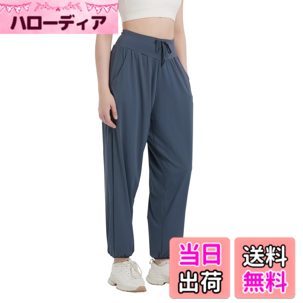 【送料無料】[Sillictor] ジョガーパンツ レディース ゆったり ヨガパンツ スポーツ サルエルパンツ トレーニングウェア ランニング ロングパンツ アクティブ ジャージ下 ヨガウェア 0180na-XL