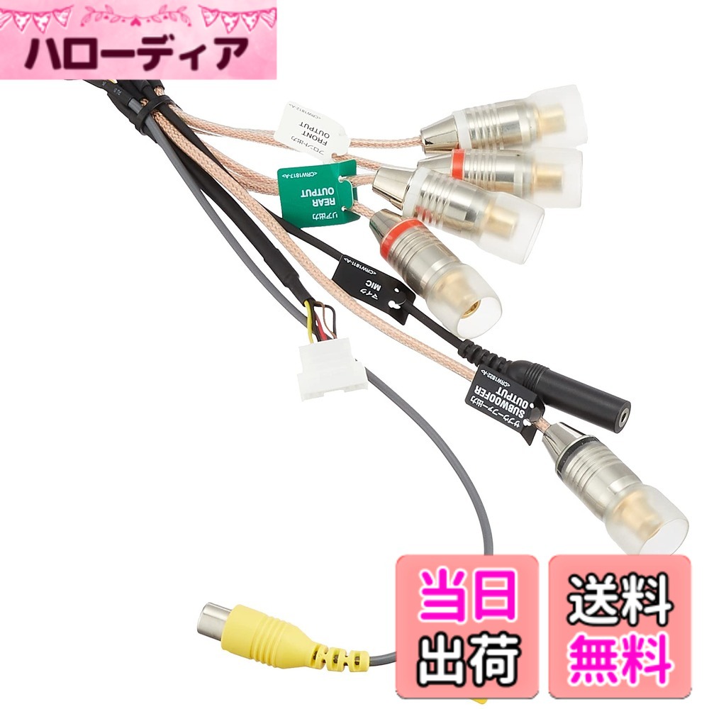RD-E100EX パイオニア カロッツェリア サイバーナビ Amazon | Pioneer 外部入出力ケーブル RD-E100 サイバーナビ用