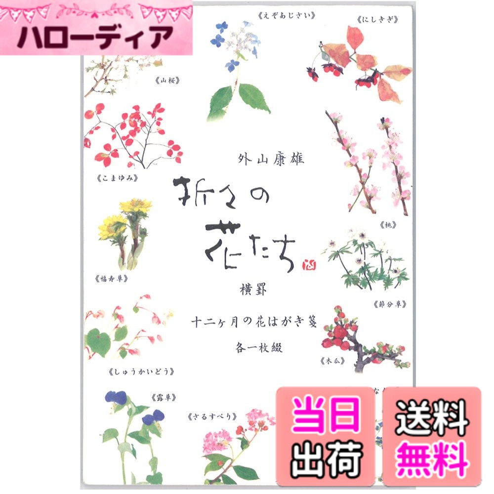 【送料無料】表現社 折々の花はがき箋十二ヶ月の花 12柄計12枚綴 色：多色