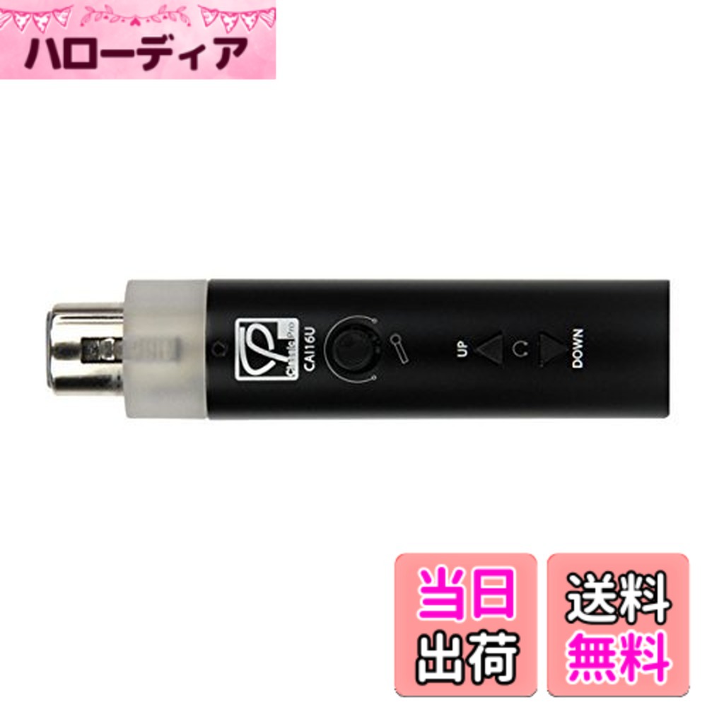 【送料無料】【国内正規品】 CLASSIC PRO クラシックプロ マイク用USBアダプター CAI ...