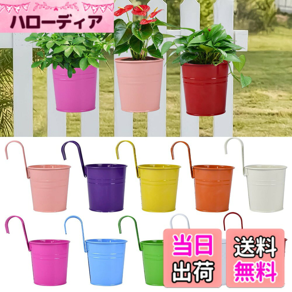 商品情報商品の説明主な仕様 寸法直径-上部：10 cm、下部：8 cm、高さ：10 cm（取っ手を含まない）。インストール - 画像に示されているようにプレス、プッシュ＆プル， それを使用する必要がない場合は、保存し、次の使用を待っている前に絞首刑の植木鉢を洗って乾かしてください。プランター内の水が多すぎると、植物を枯らすことができ，だからEnenesすべてのハンギングプランターの下部に穴を追加しました。トレンドミニマリストの装飾- はバルコニー、庭、ババルコニー、フェンス、鉄道、レーリング、ホーム、リビングルーム、バスルーム、パティオ、デッキ、ポーチャ、オフィス、学校、ショップのための完璧な現代的な装飾です。彼らはすべてのスタイルと非常にうまく動作します - モダン,モモモダン,農家,ヴィンテージ.br堅牢で軽量- これらの屋外植物用金属懸垂植木鉢は堅牢で耐久性があり、割れにくく、繰り返し使用することができます。陶磁器やプラスチック鍋よりも良い選択です。使いやすく、ハンドル/フックを数分かけて取り付け、どこにでも掛け始めることができます
