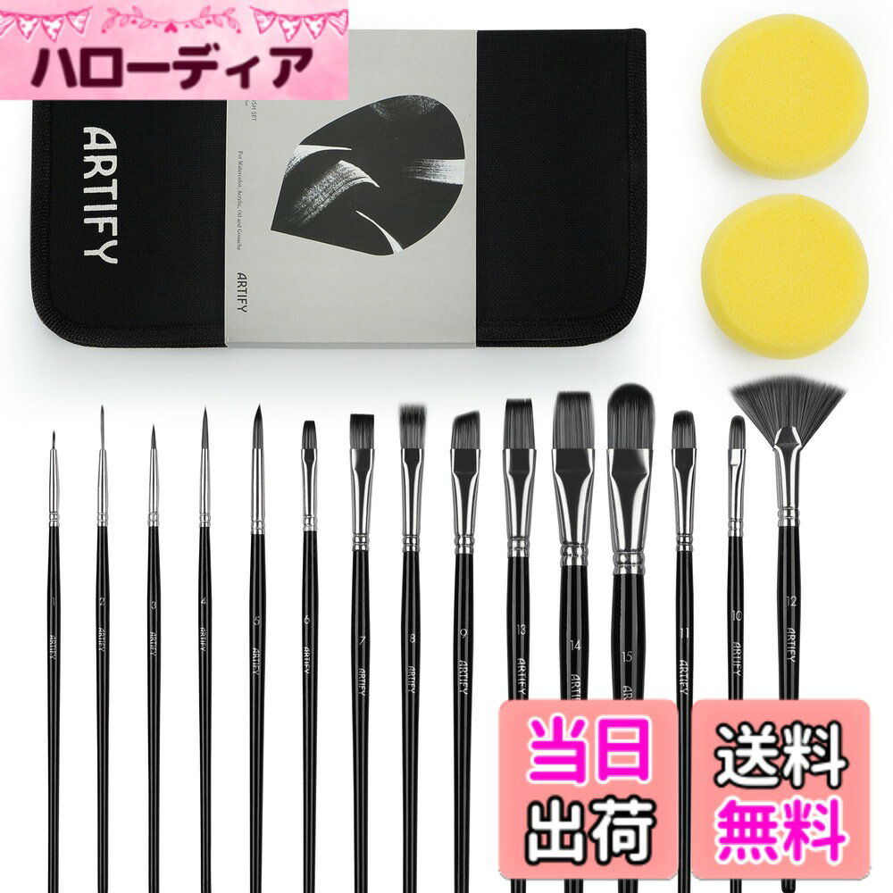 ARTIFY art supplies ペイントブラシ、15個ポップアップスポンジ携帯ケース、無料パレットナイフと2つのアクリル、オイル、水彩画とグワッシュ… 色：ブラック、サイズ：16 Count (Pack of 4869)