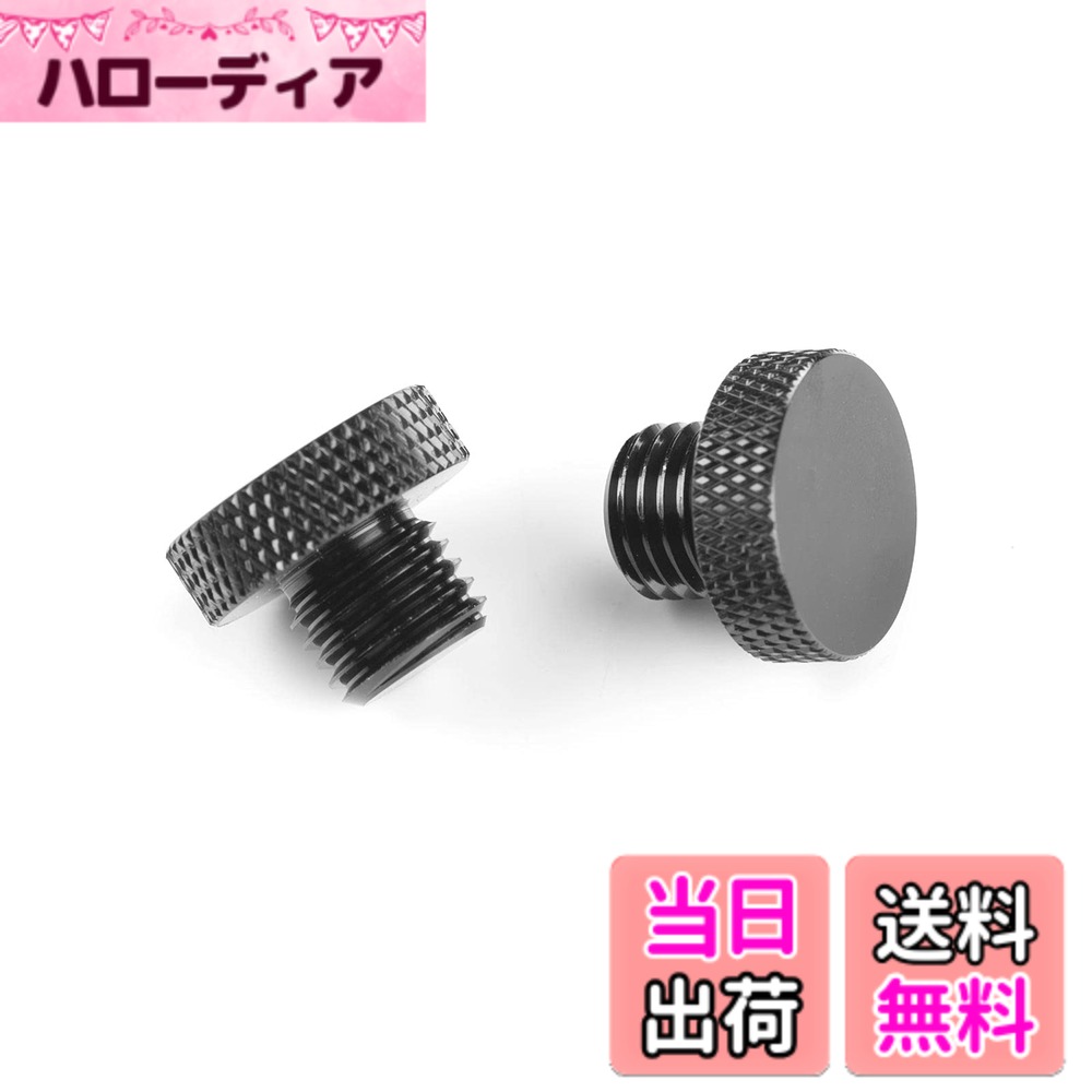 【送料無料】ミラー穴埋めボルト 光沢黒 サイズ：M10正ネジと逆ネジ