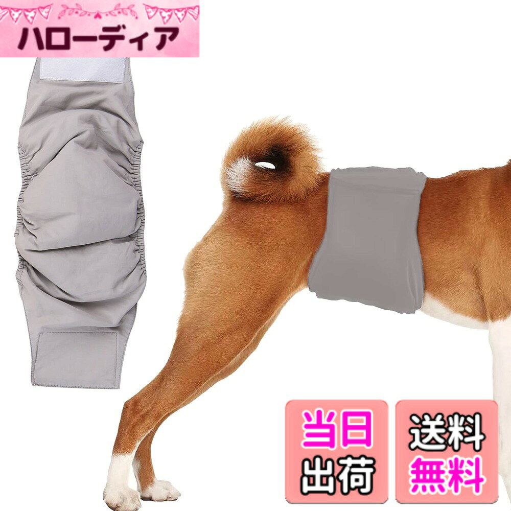 商品情報商品の説明主な仕様 通気性のあるメッシュ生地と柔らかいポリエステルで作られた犬用マナーパンツ。ペット生理中、細菌感染なども予防できます。発情期のメス犬がオス犬を引き寄せて嫌がらせをする問題を効果的に防止する。マーキングや、トイレの失敗など、トイレに間に合わない老犬にも介護用としてお使いください。簡単装着、幅3．8cmの強力なマジックテープを使用。動き回ってもずれない、外れない。